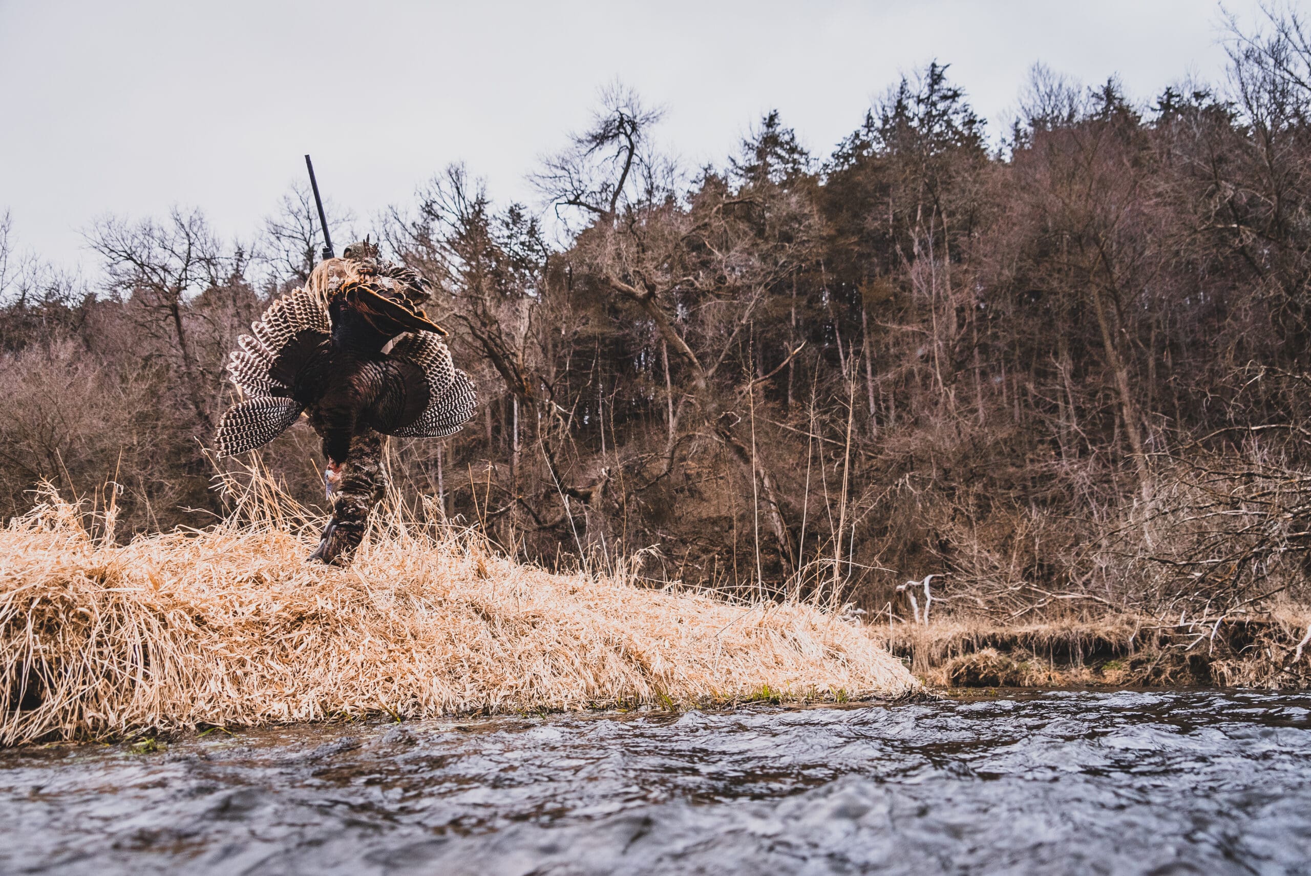 How to Create Standout Turkey Hunting Content for Social Media