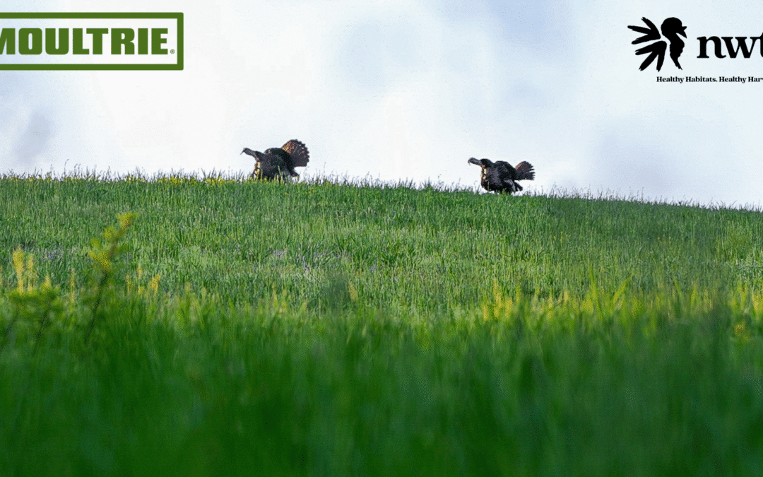 Moultrie Joins NWTF’s Habitat for the Hatch Initiative