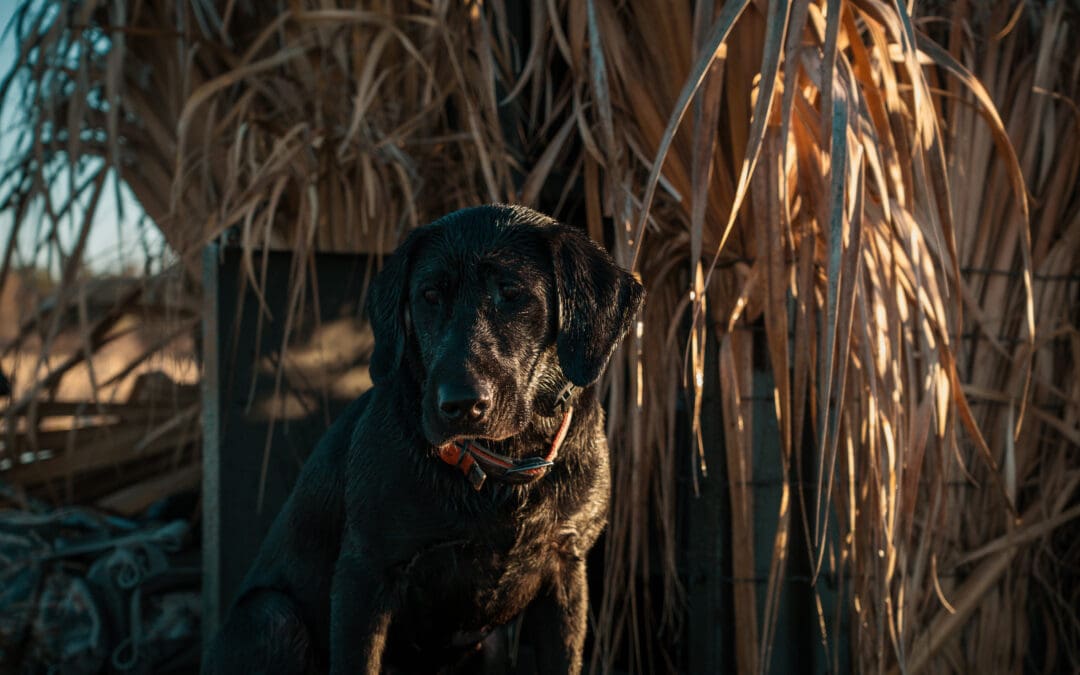 Social Media Strategy for Outdoor Brands That Set the Standard