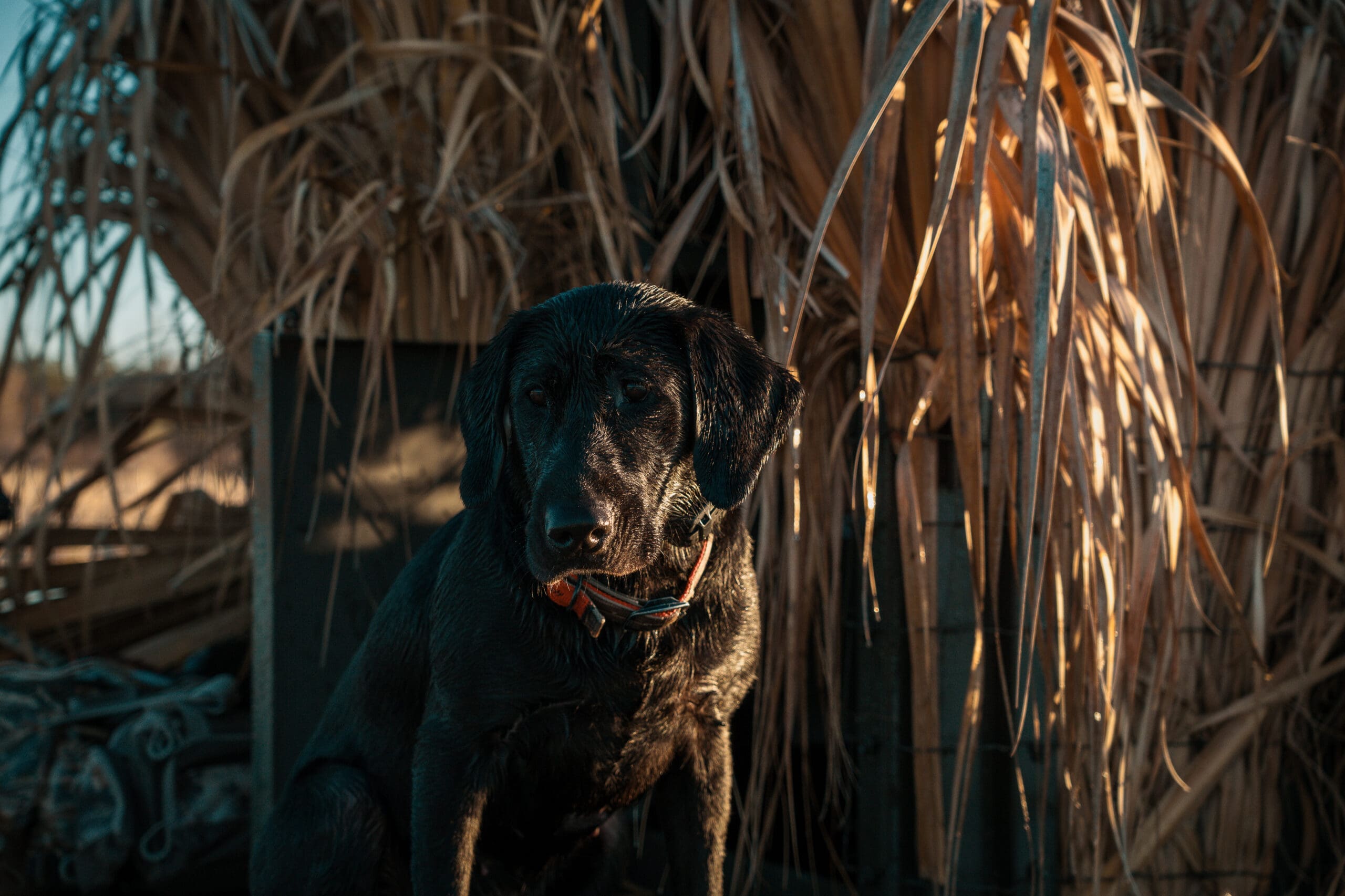 Social Media Strategy for Outdoor Brands That Set the Standard