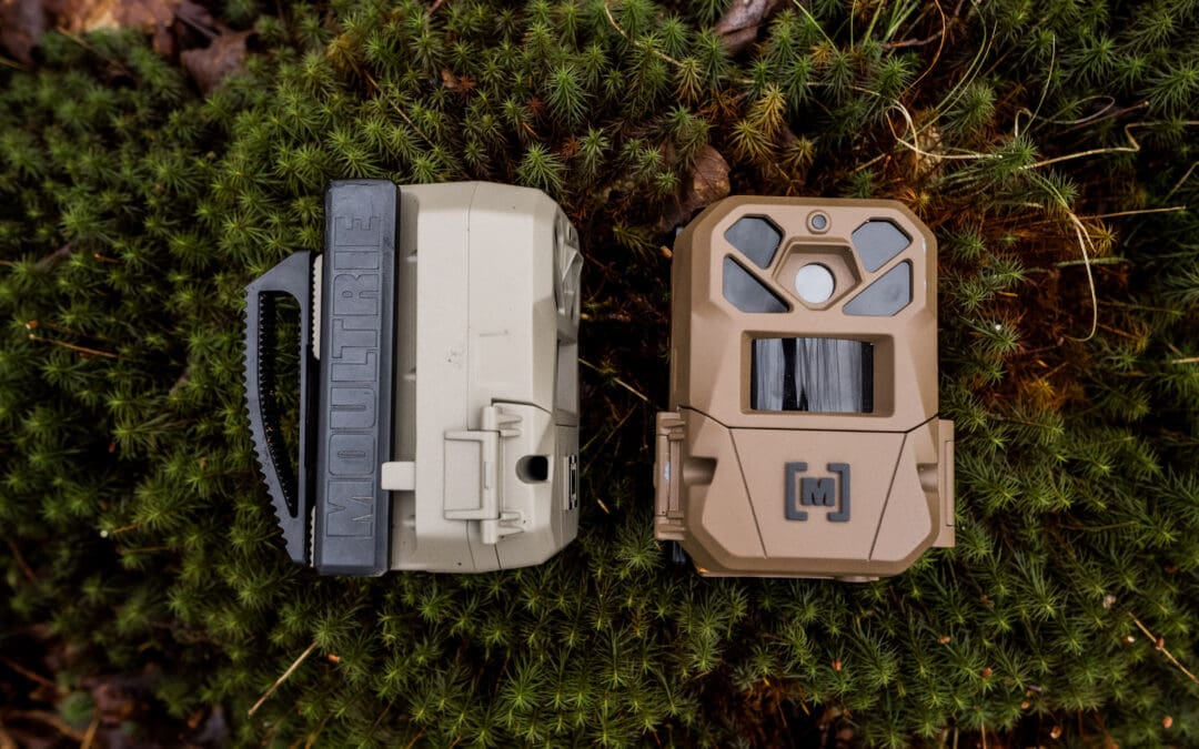 ALL NEW Moultrie EDGE 3 Cell Cameras