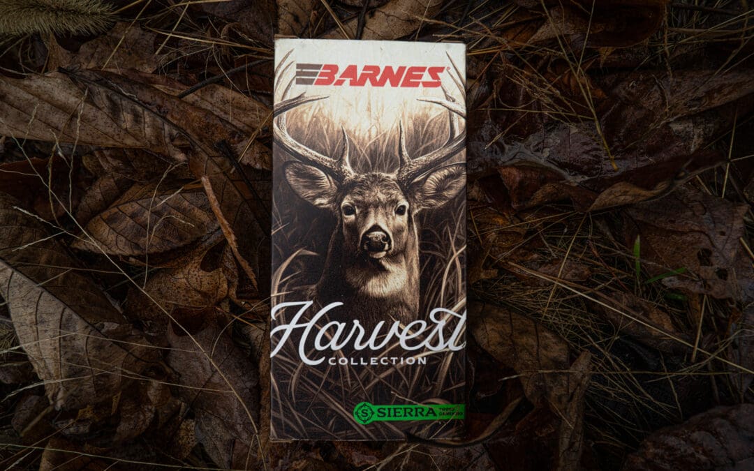 Murray Road-led launch of Barnes Harvest Collection at NRA 2025