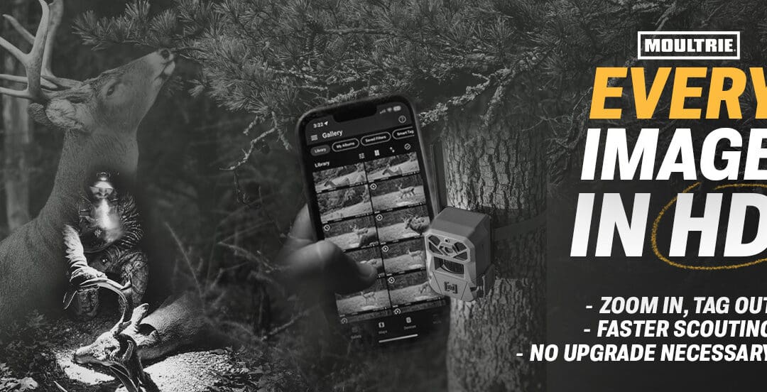 Moultrie Now Providing EVERY Image in HD