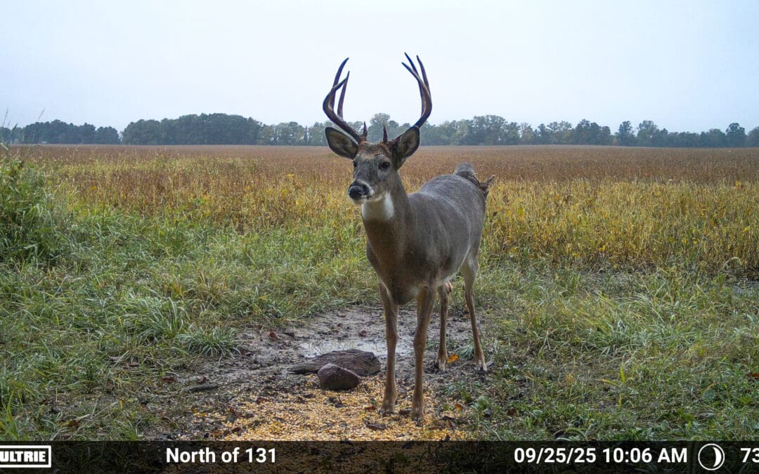 Introducing Moultrie’s Buck List: Revolutionizing Hunter Scouting