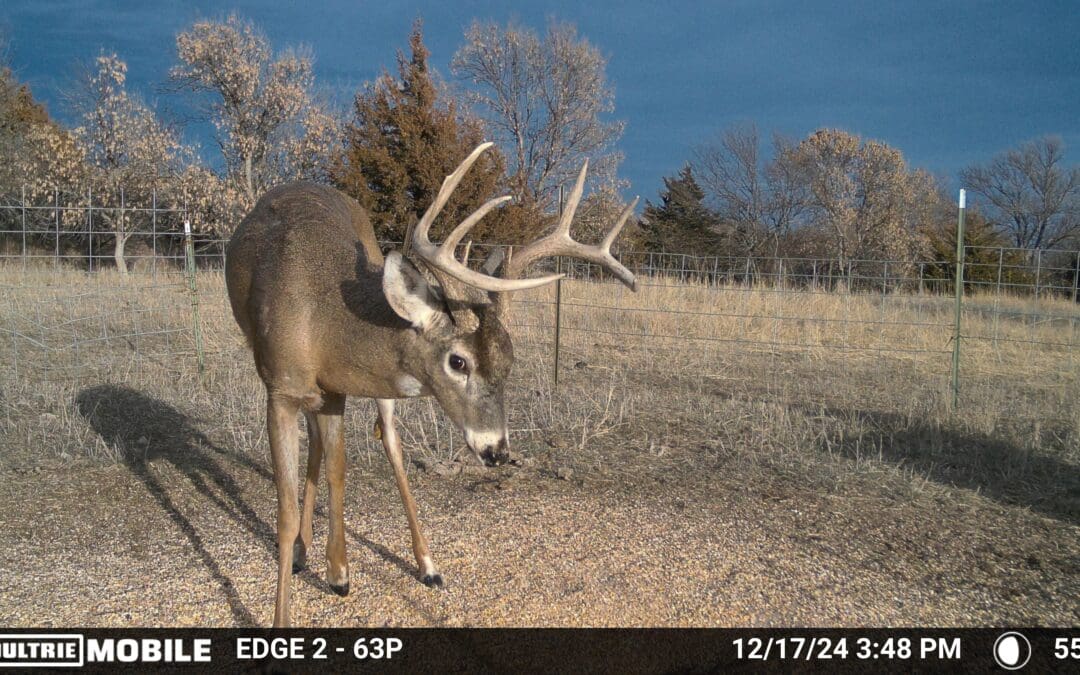 Moultrie Pro Tip: Keep Your Cameras On! Best Ways to Leverage Post-Season Scouting