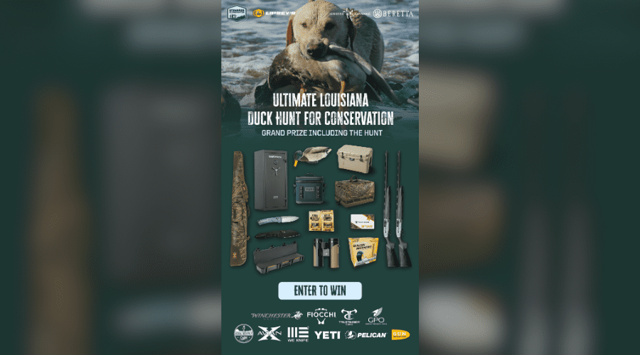 marketing hunt promo