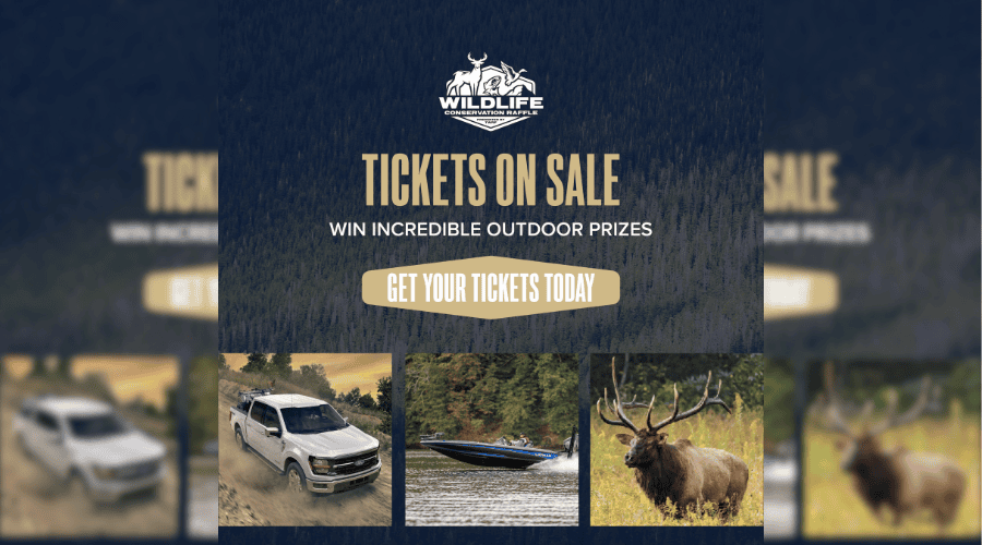 Marketing promotion for TWRF 2026 Wildlife Conservation Raffle fundraiser for Tennessee