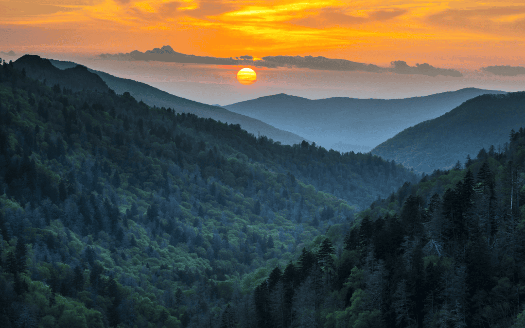 TWRF Drives Statewide Conservation Impact with 2026 Wildlife Conservation Raffle