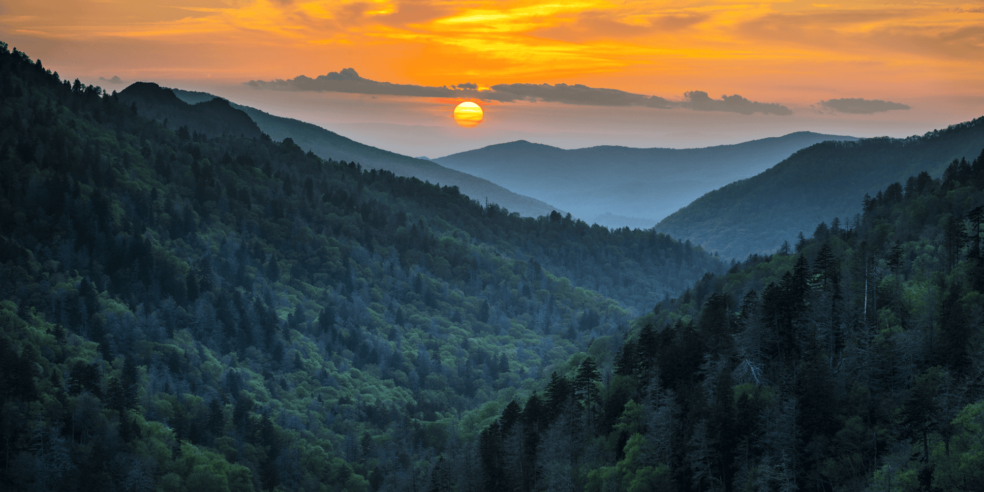 2026 Wildlife Conservation Raffle Supports Tennessee Conservation Efforts